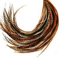 21 Natural Color Hair Feathers 9 14 Long Feathers For Hair Extension Diy Kit Eyecatching Design 20 Microlink