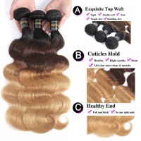 Shining Girl 12A Ombre Body Wave Bundles With Closure Brazilian Virgin Remy 100 Human Hair Ombre 3 Tone T1B427 Color Human Ha